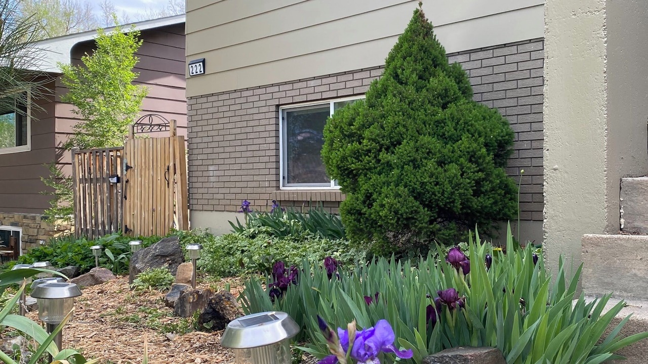 Photo of Outdoor in Fort Collins