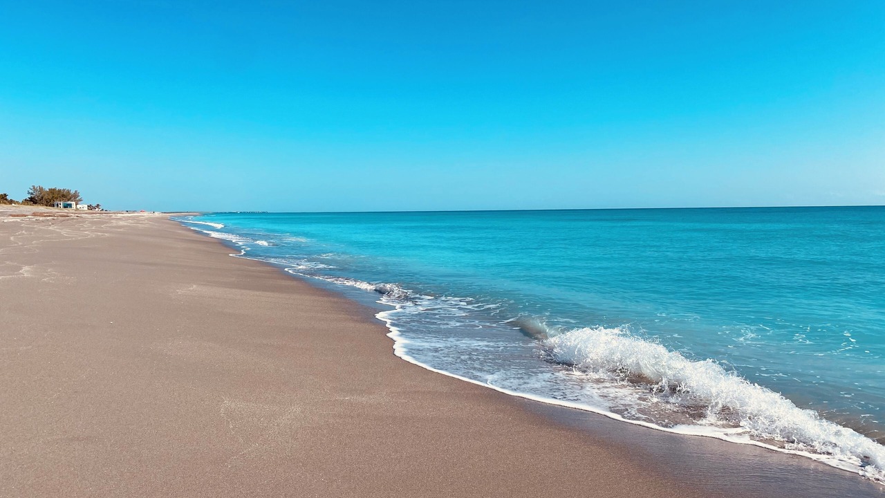 Photo of Others in Hobe Sound