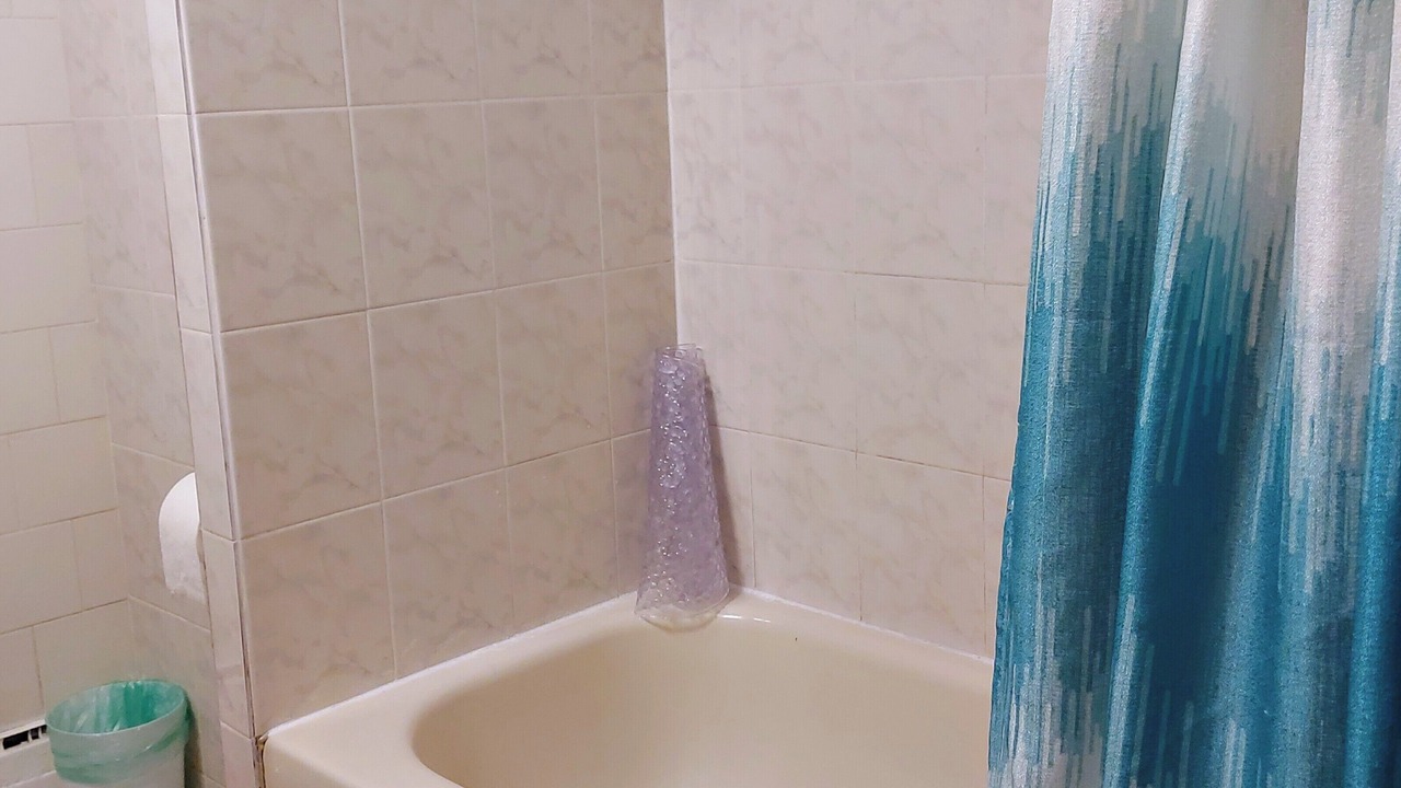 Photo of Bathroom in North Central Edmonton
