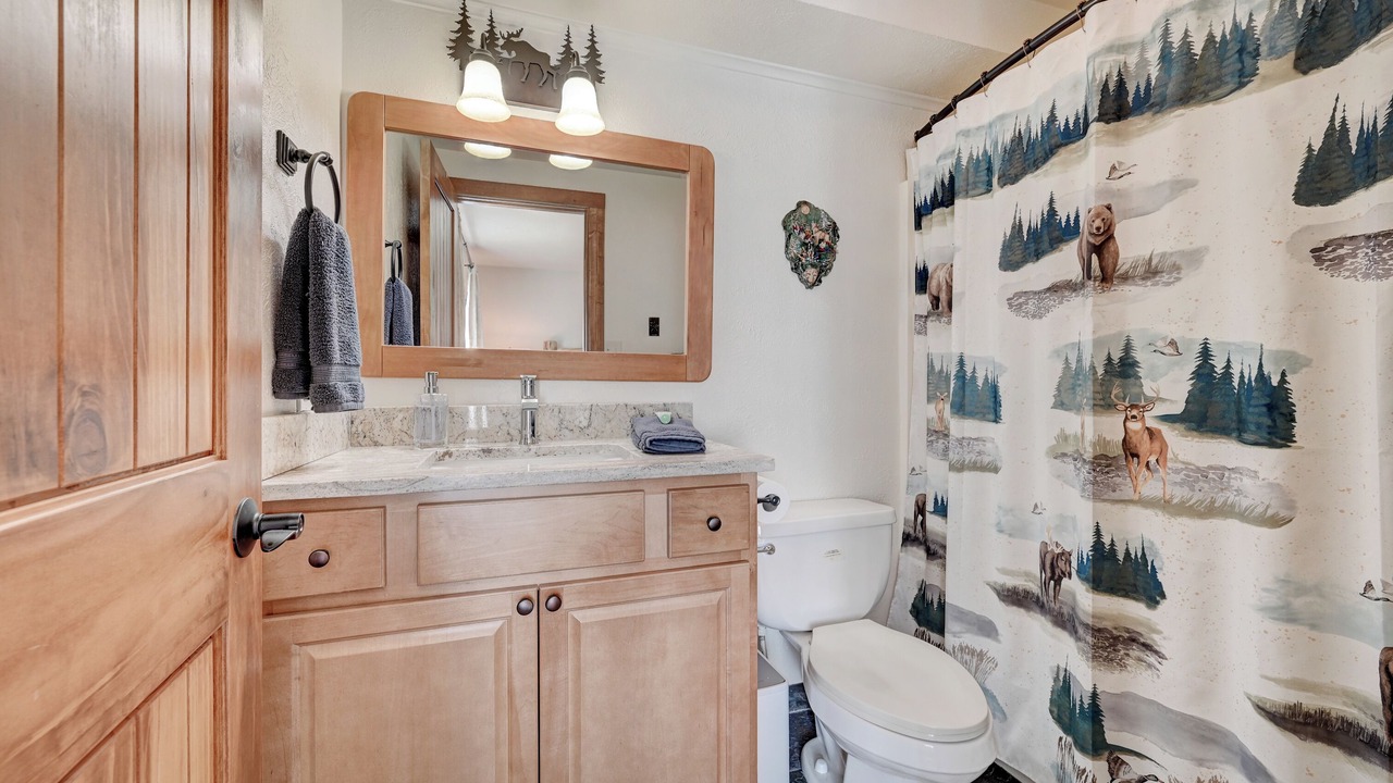 Photo of Bathroom in Mount Crested Butte