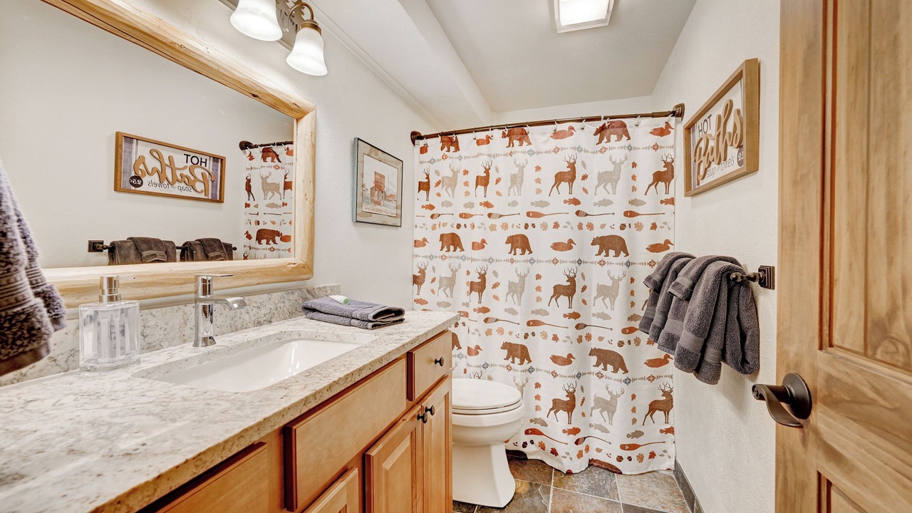 Photo of Bathroom in Mount Crested Butte