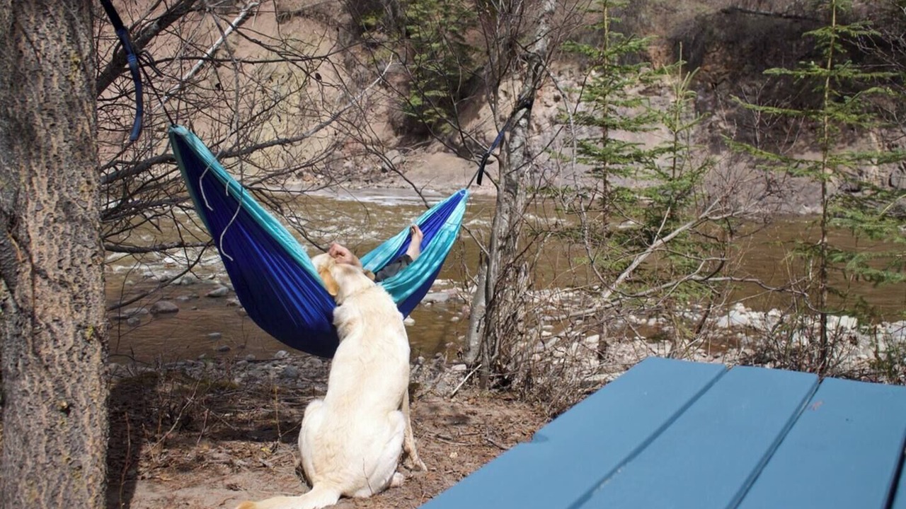 Photo of Others in Regional District of Bulkley-Nechako