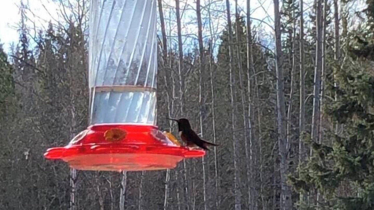Photo of Others in Regional District of Bulkley-Nechako