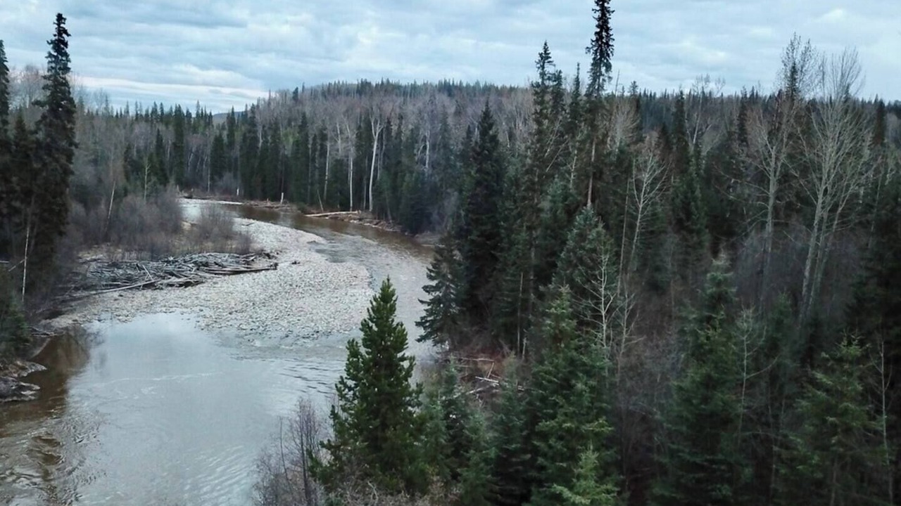 Photo of Others in Regional District of Bulkley-Nechako