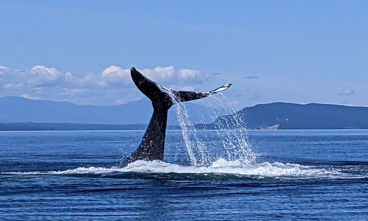 Photo of Others in Regional District of Nanaimo
