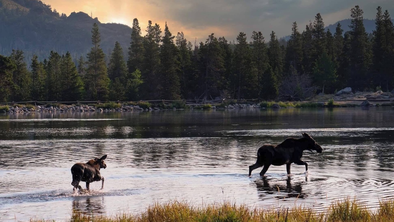 Photo of Others in Estes Park