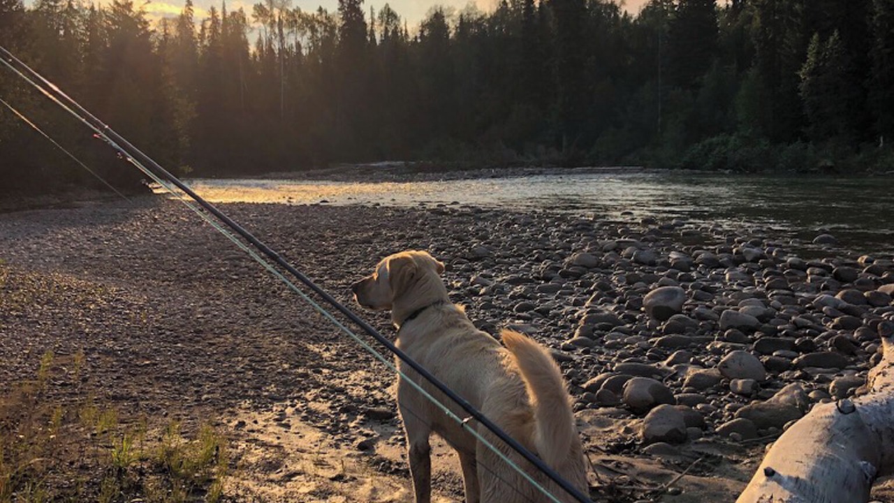 Photo of Others in Regional District of Bulkley-Nechako