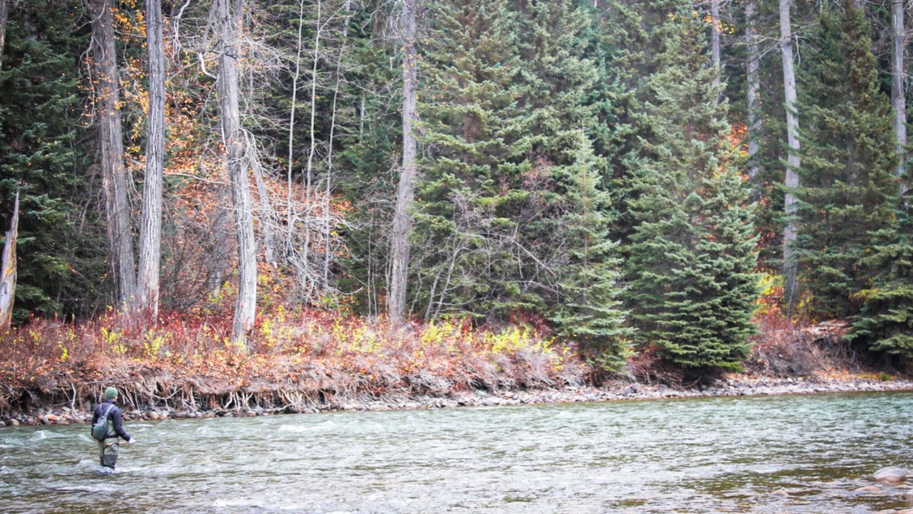 Photo of Others in Regional District of Bulkley-Nechako