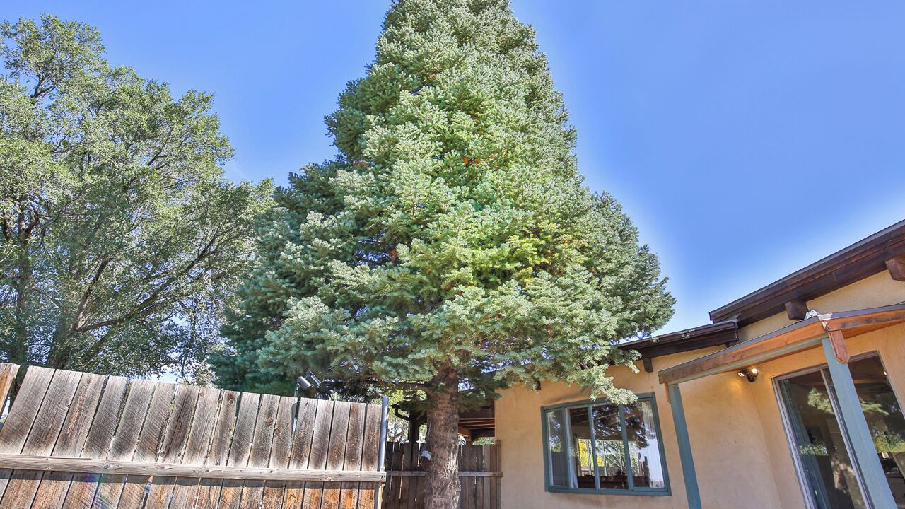Photo of Outdoor in Taos