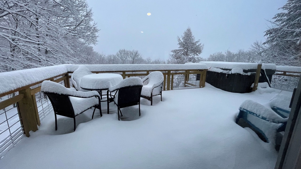 Photo of Outdoor in Bartlett