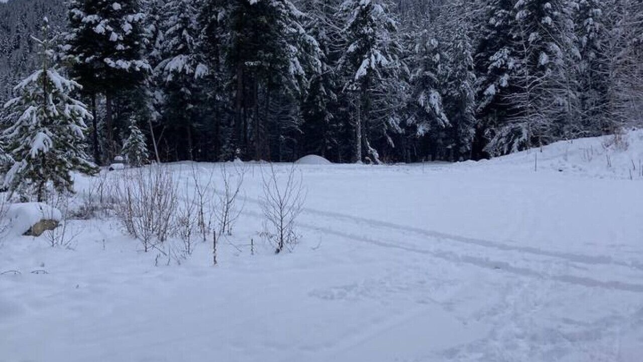 Photo of Others in Central Okanagan
