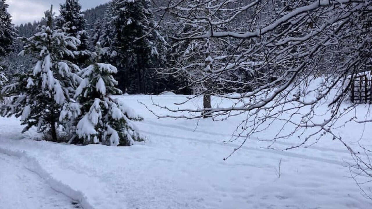 Photo of Others in Central Okanagan