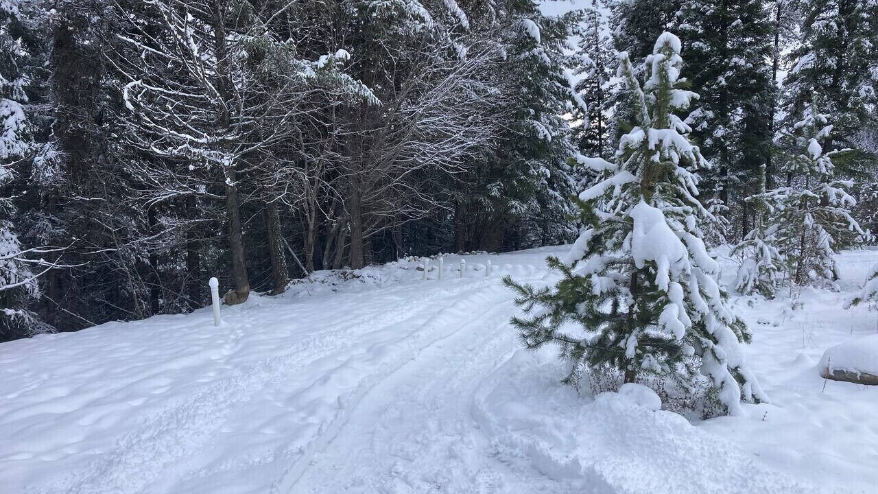 Photo of Others in Central Okanagan