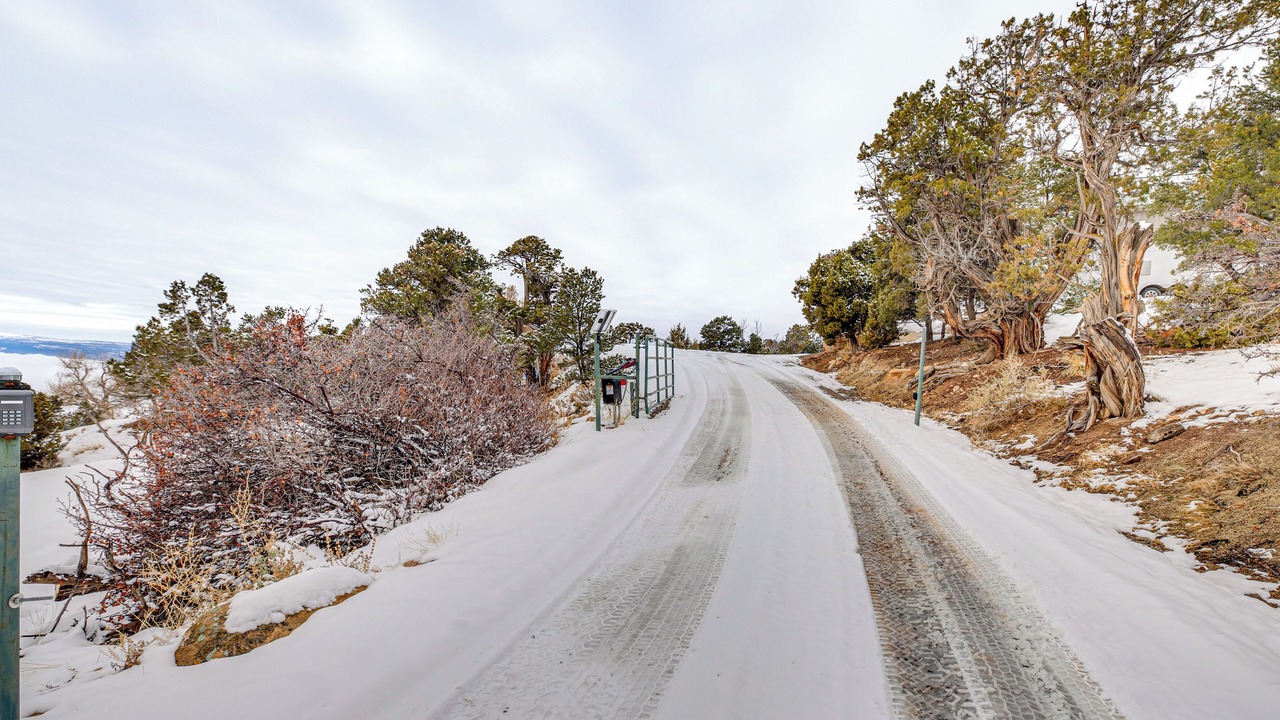 Photo of Outdoor in Montrose