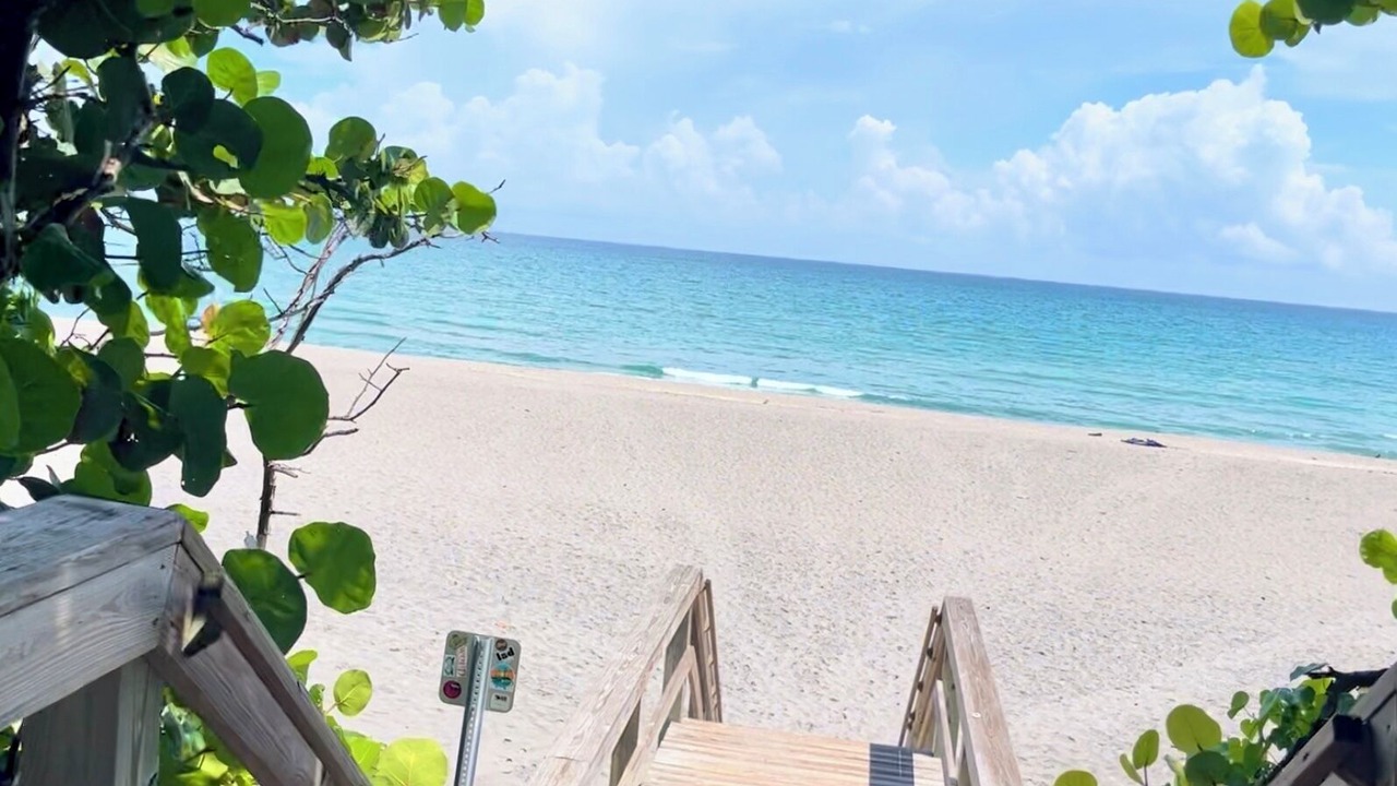 Photo of Others in Jupiter