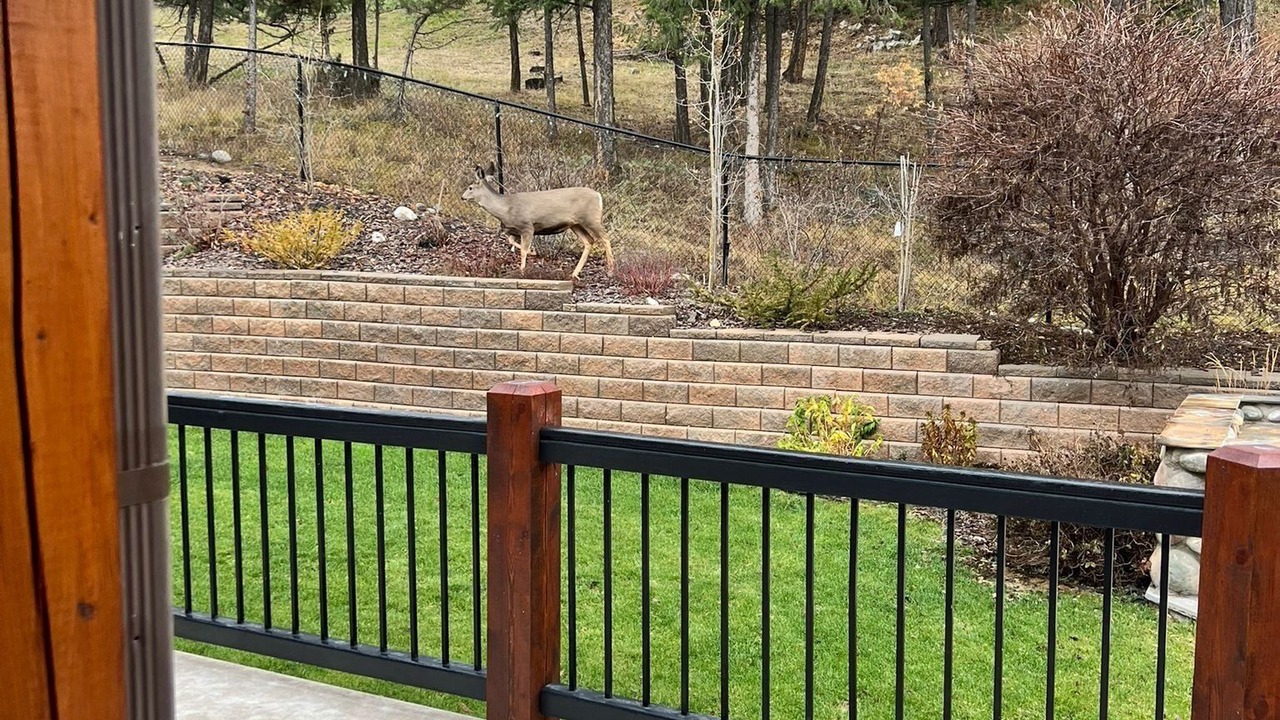 Photo of Others in East Kootenay