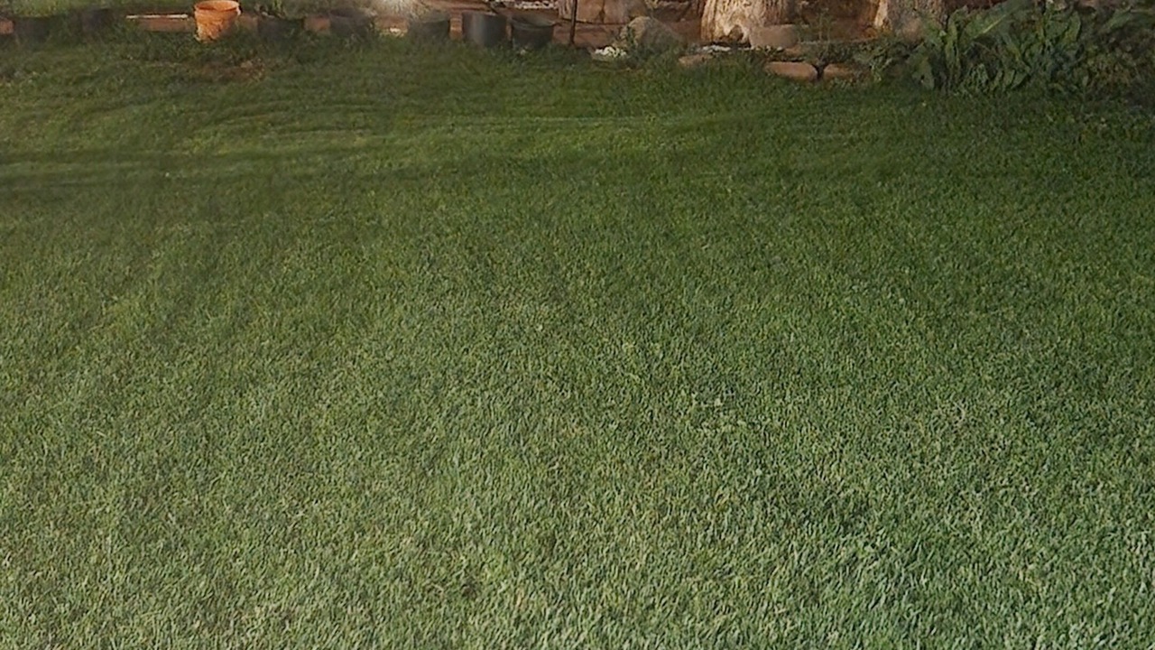 Photo of Outdoor in East Colfax