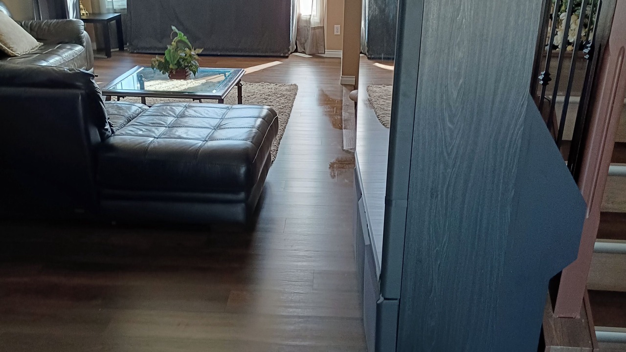 Photo of Livingroom in Southeast Edmonton