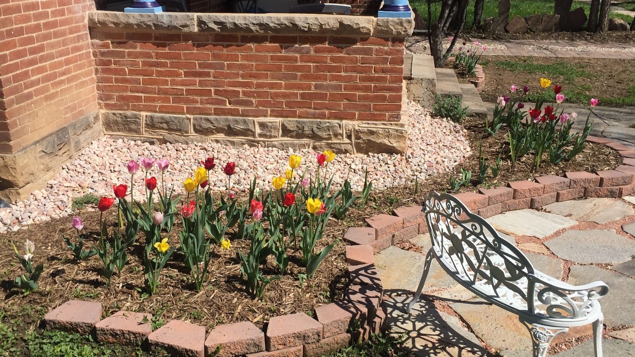 Photo of Outdoor in University North