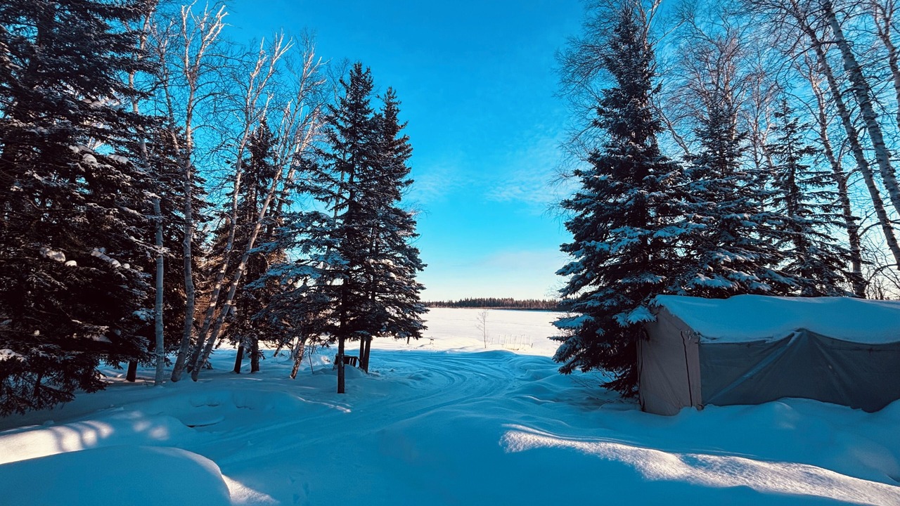 Photo of Others in Cranberry Portage
