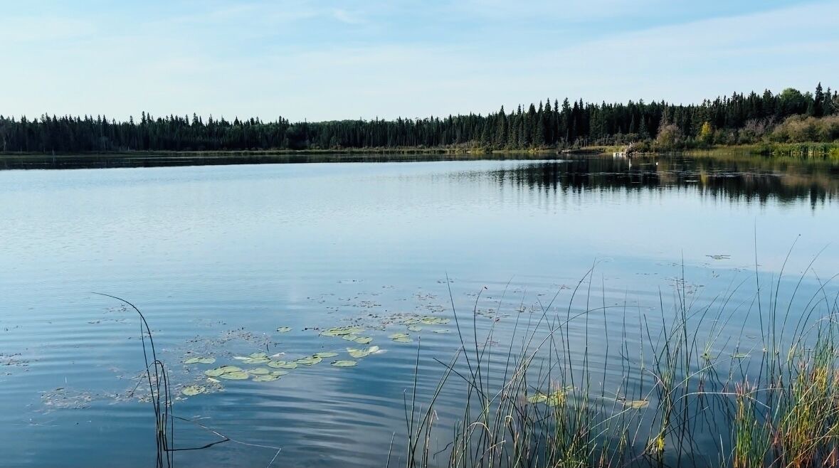 Photo of Others in Cranberry Portage