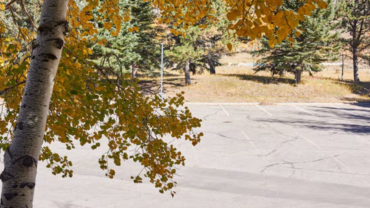 Photo of Outdoor in Aspen