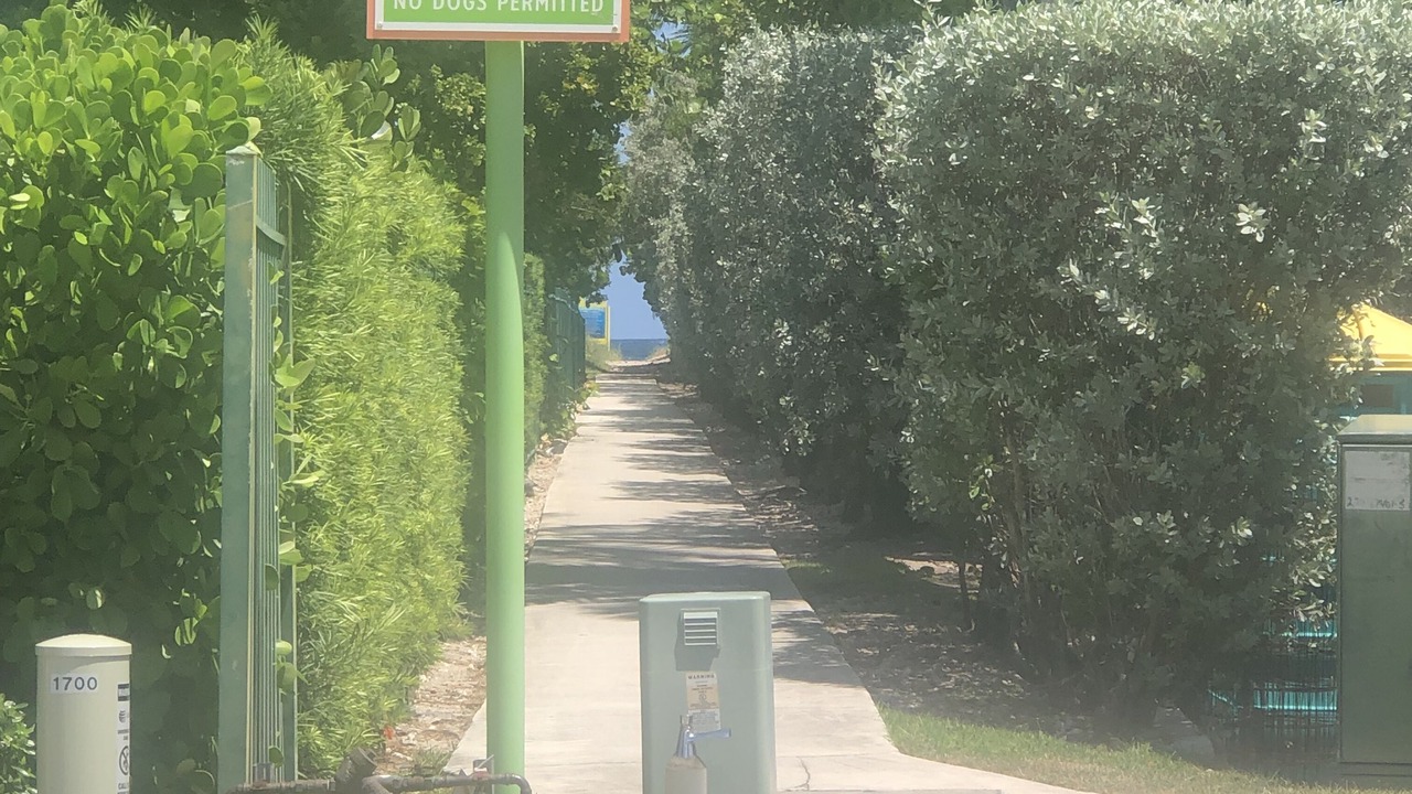 Photo of Others in Bel Air