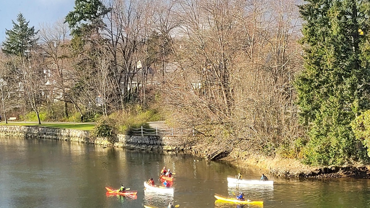 Photo of Others in Gorge -Tillicum Area
