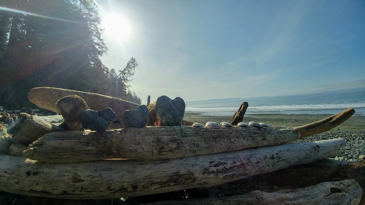 Photo of Others in Juan de Fuca Electoral Area