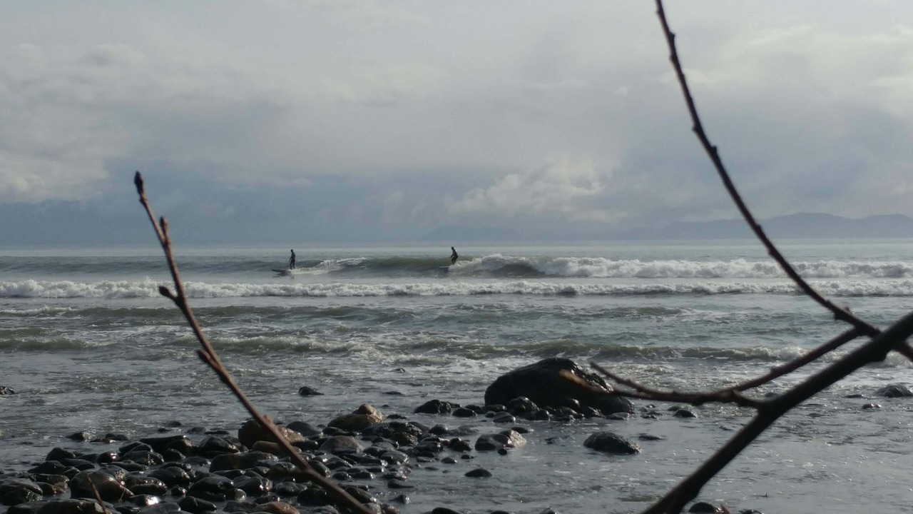 Photo of Others in Juan de Fuca Electoral Area