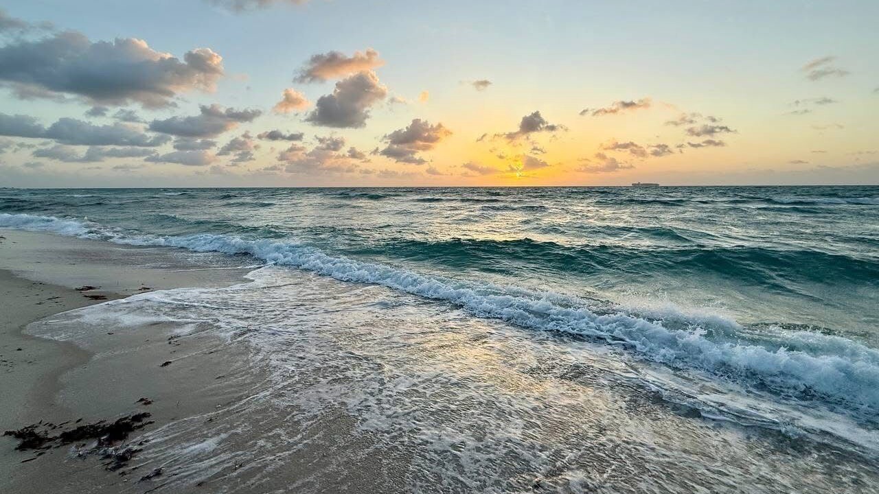 Photo of Others in Pompano Beach