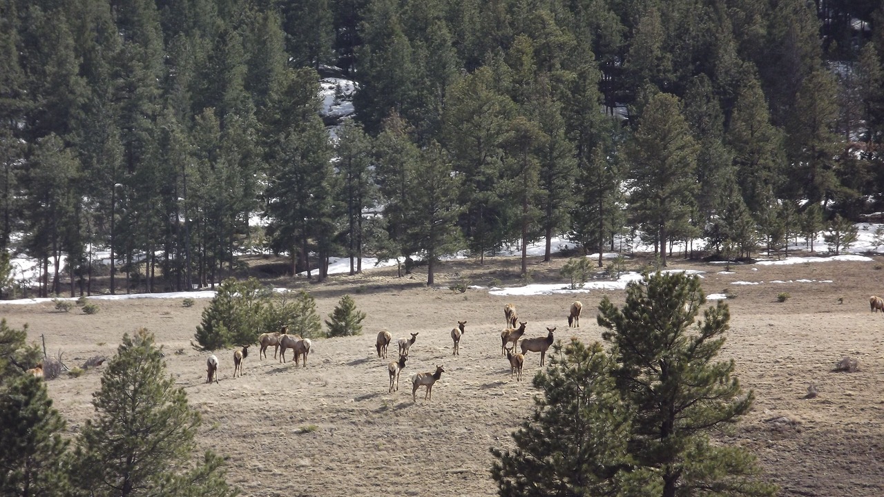 Photo of Others in Canon City