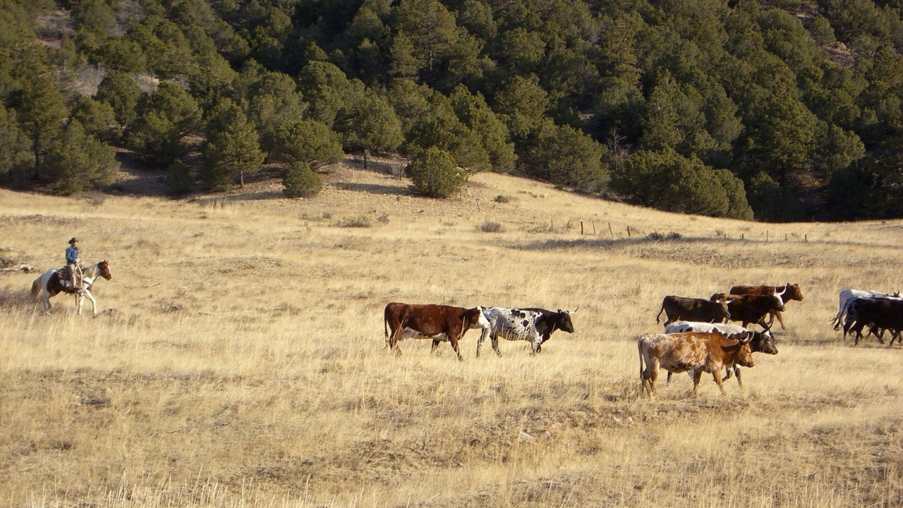 Photo of Others in Canon City