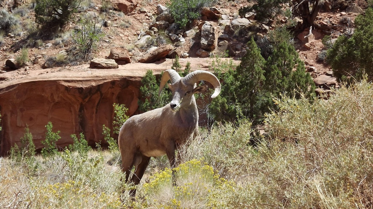 Photo of Others in Canon City