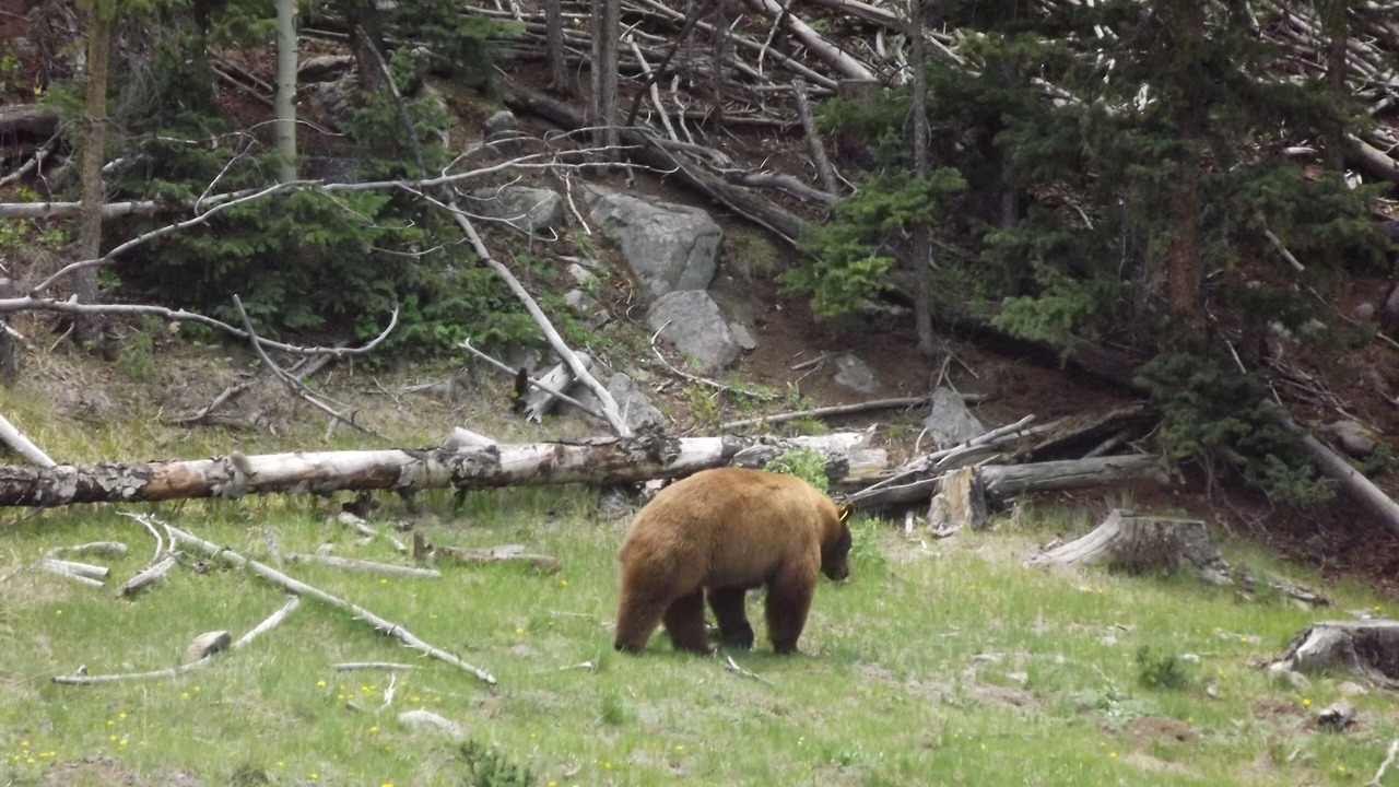 Photo of Others in Canon City