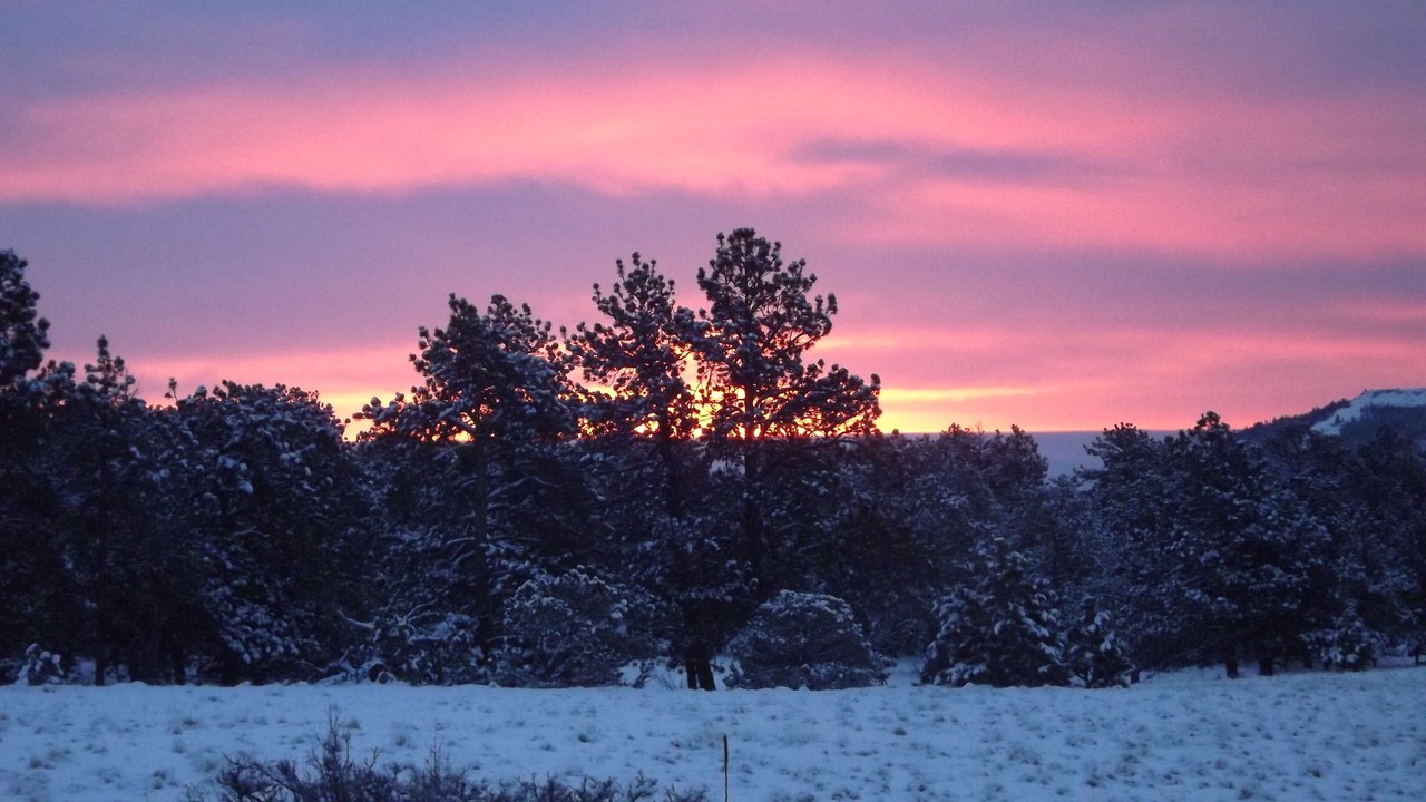 Photo of Others in Canon City