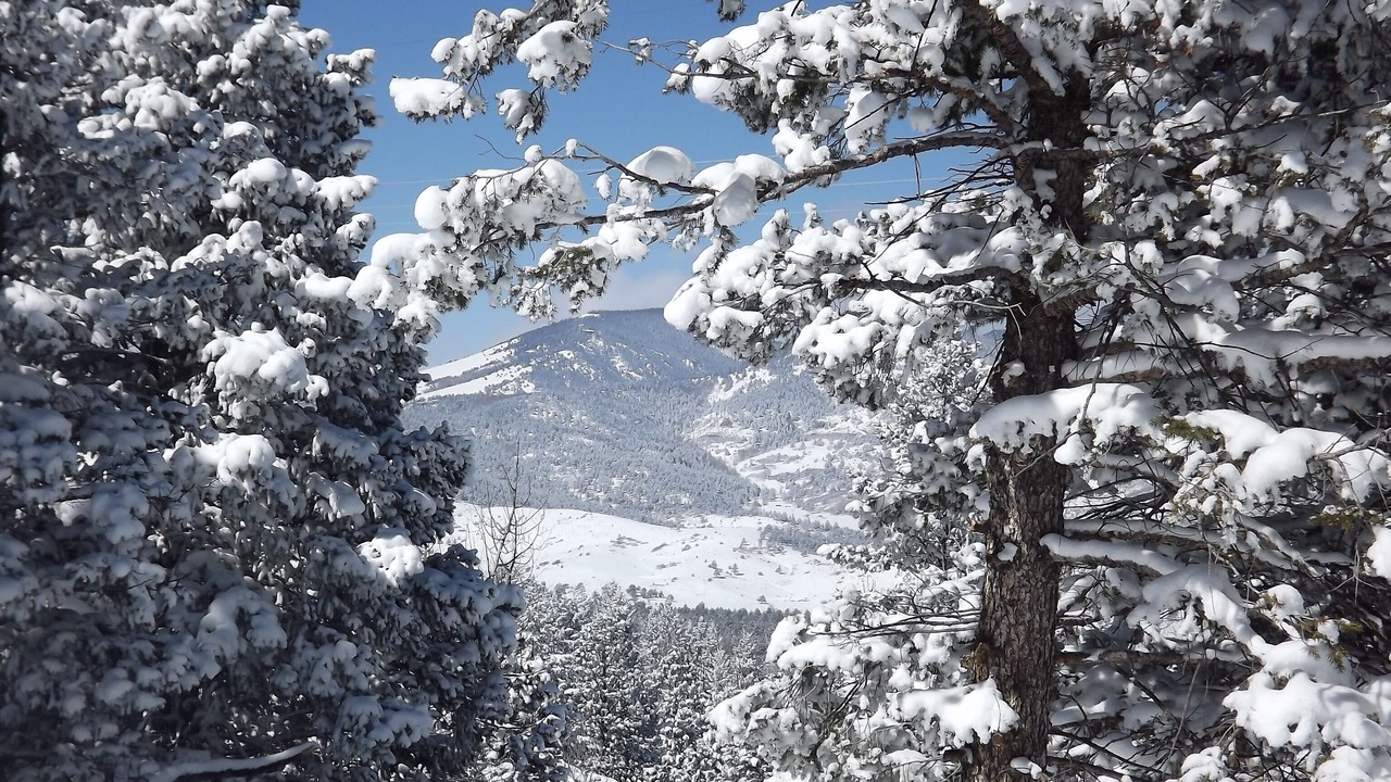 Photo of Others in Canon City