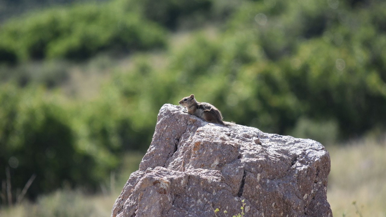 Photo of Others in Canon City