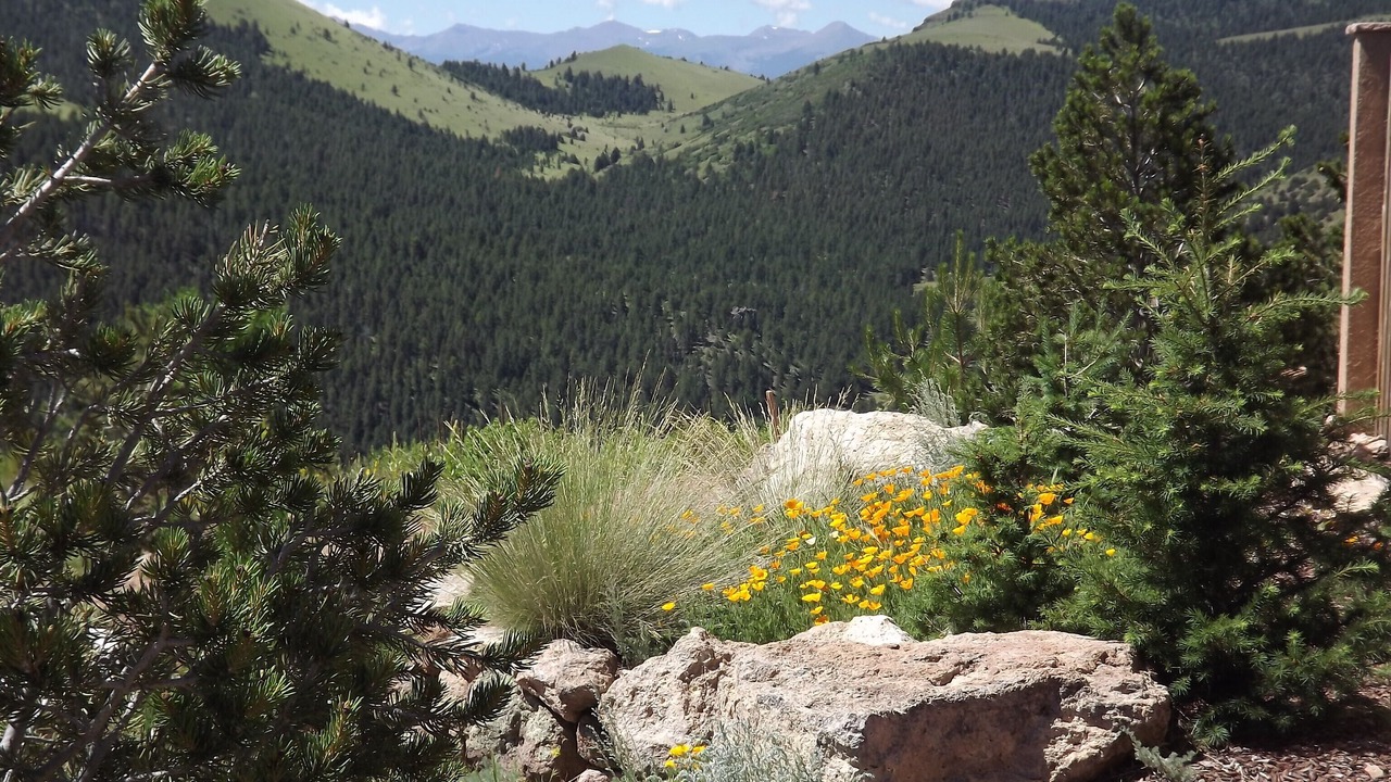 Photo of Others in Canon City