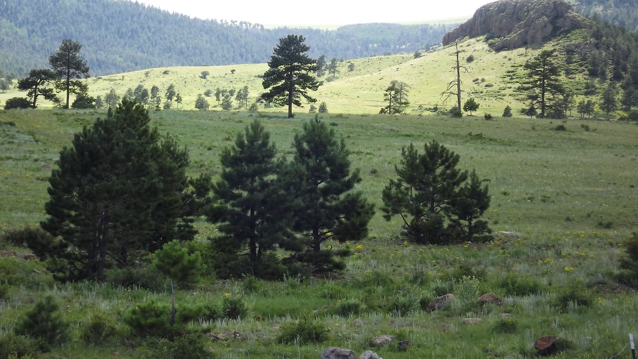 Photo of Others in Canon City