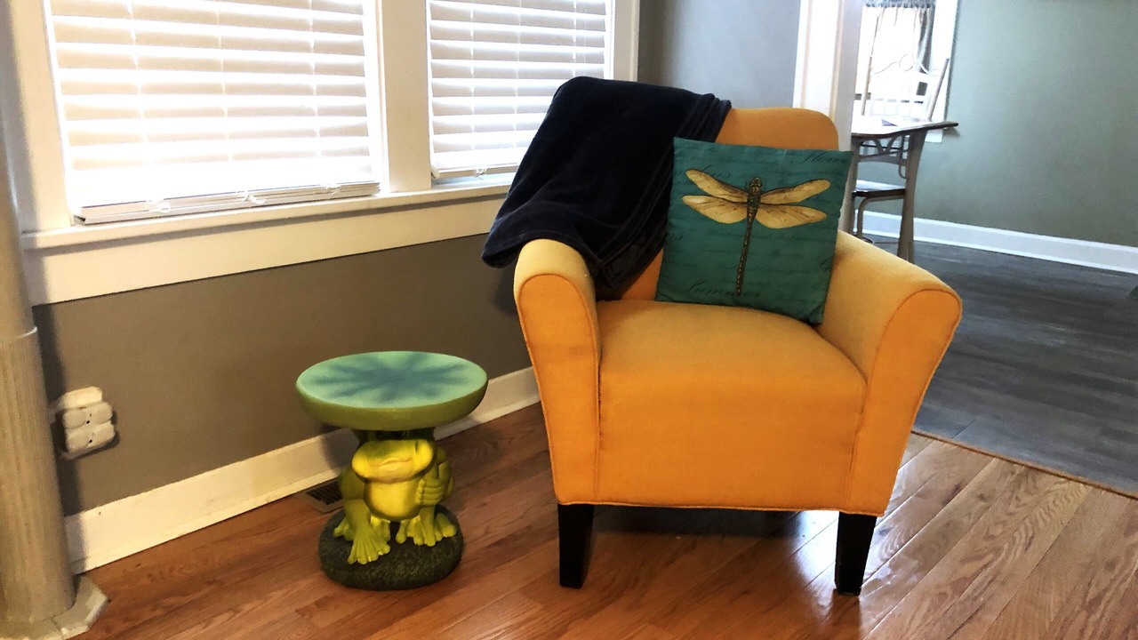 Photo of Livingroom in Chippewa Lake