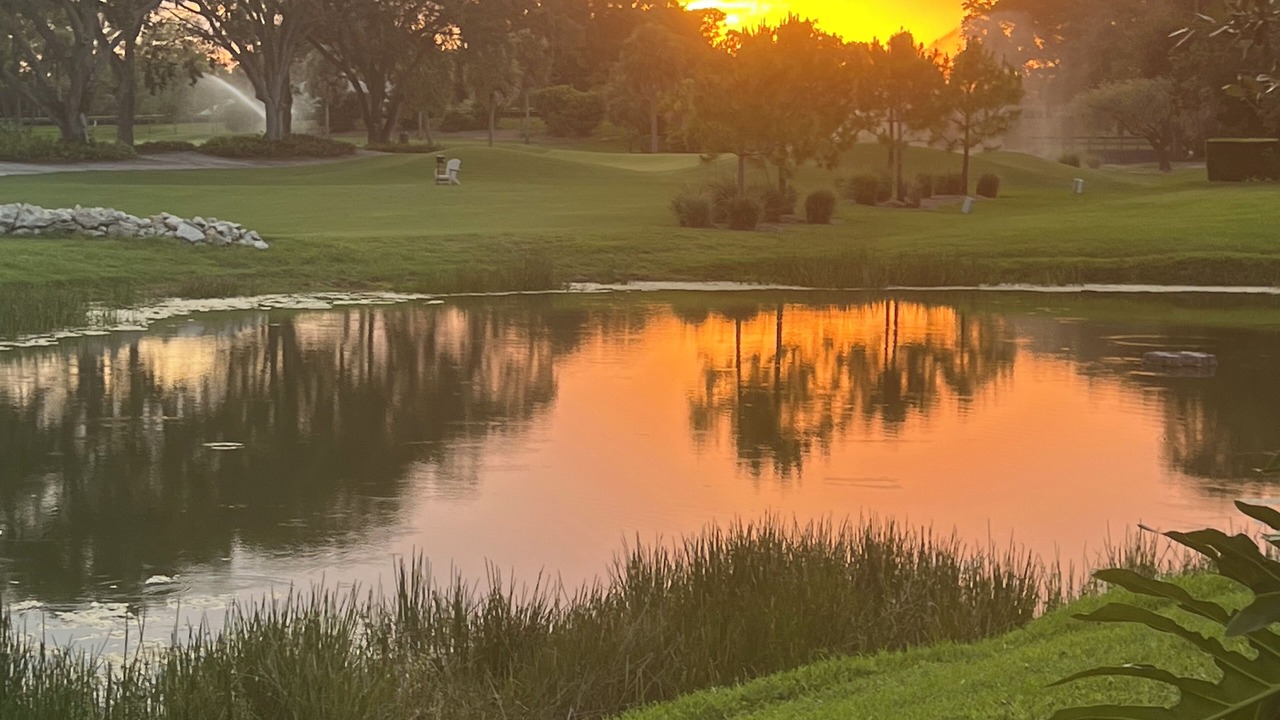 Photo of Others in Palm Beach Gardens