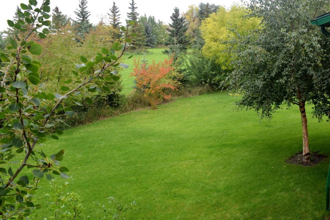 Photo of Others in Wainwright