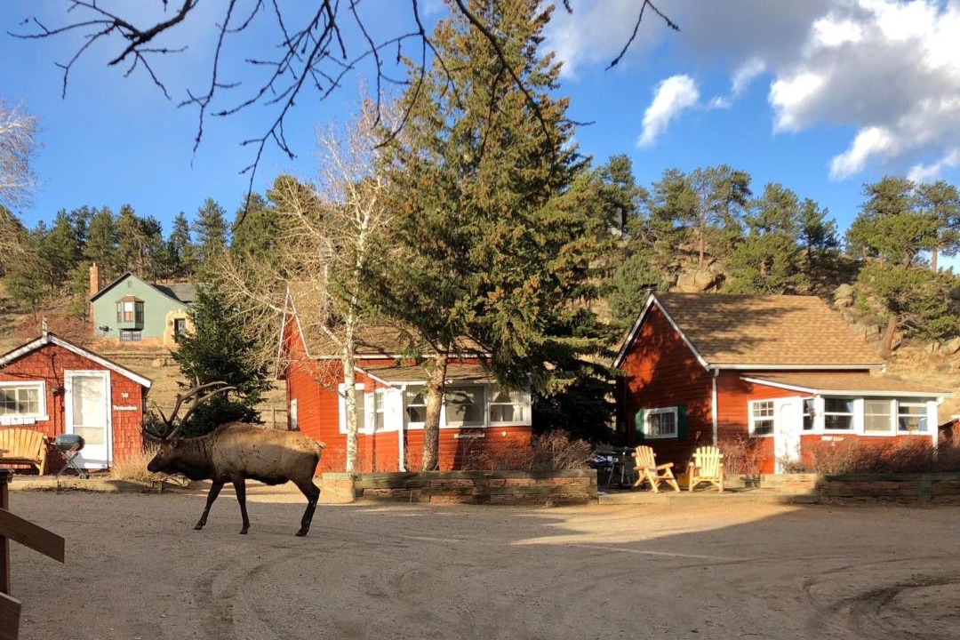Photo of Others in Estes Park