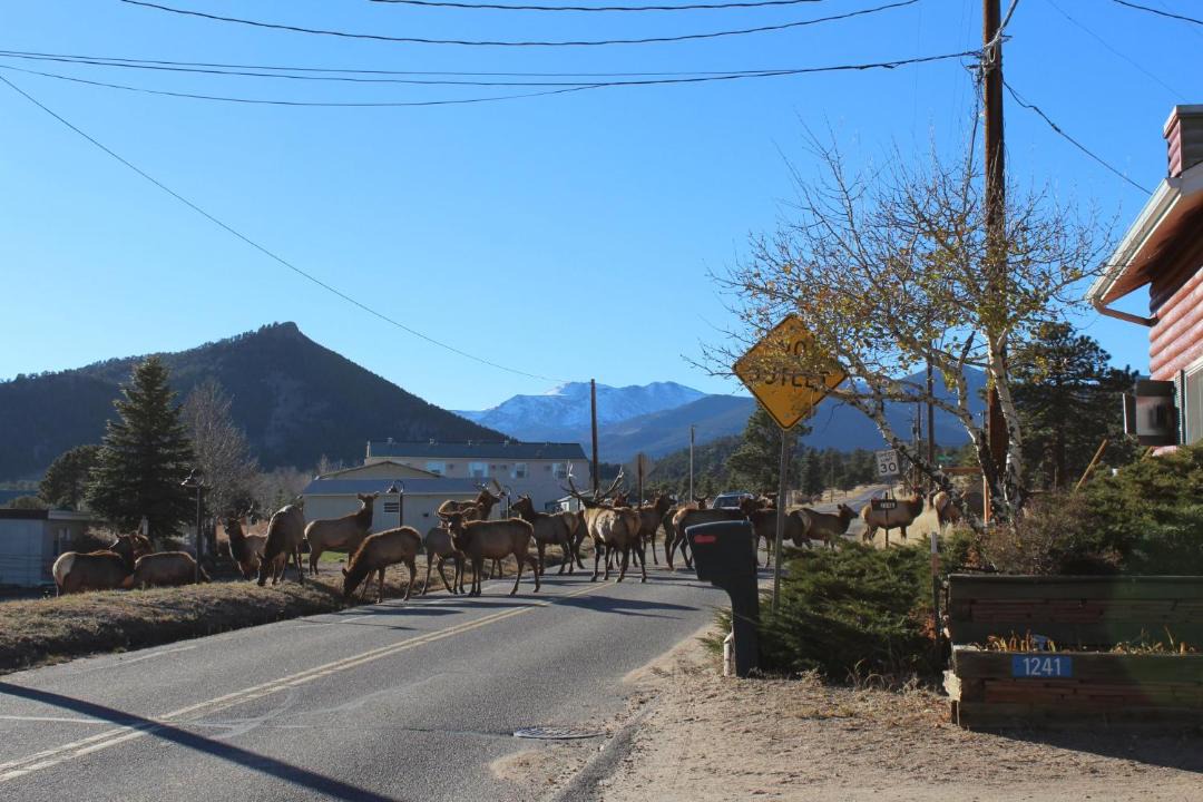 Photo of Others in Estes Park