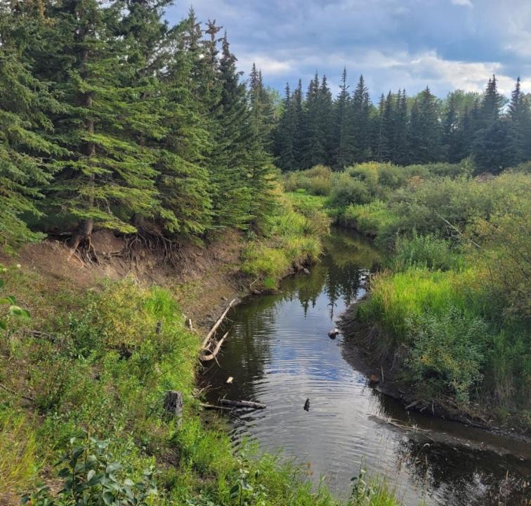 Photo of Others in Northern Alberta
