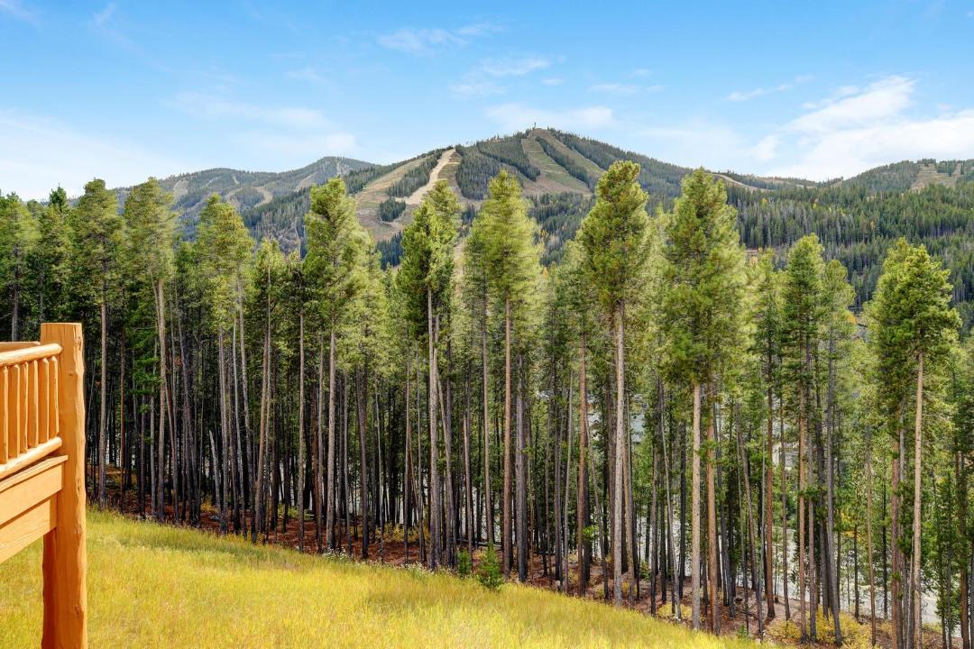 Photo of Others in Winter Park