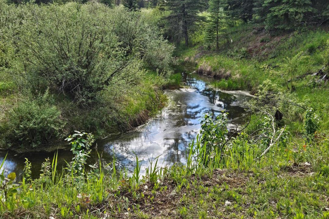 Photo of Others in Northern Alberta