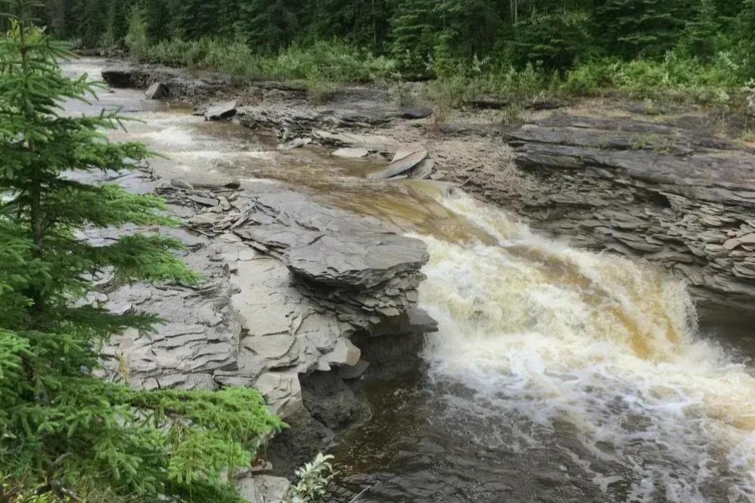 Photo of Others in Northern Alberta