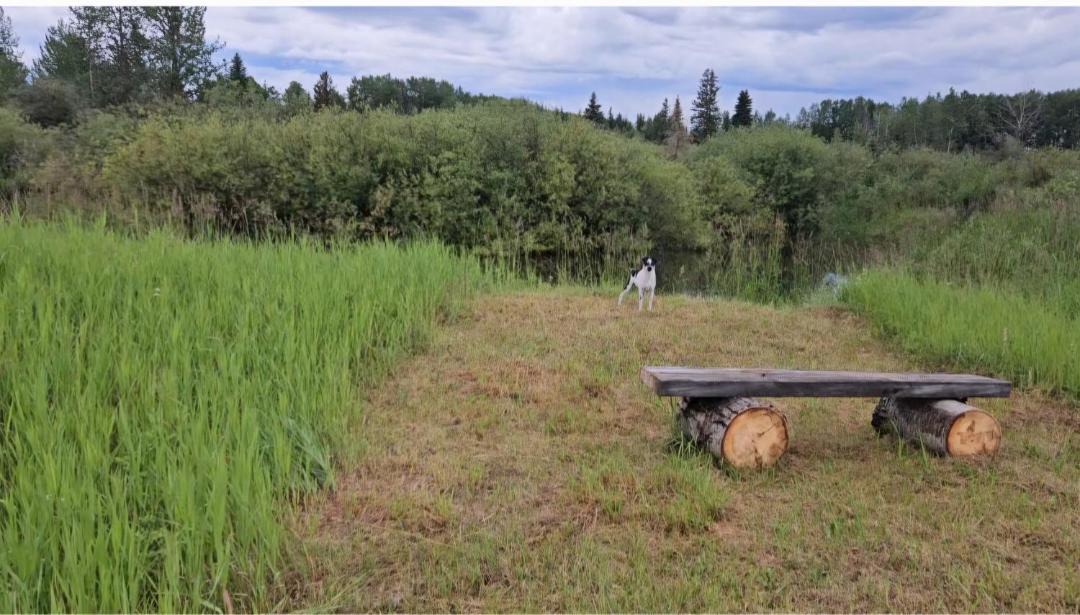Photo of Others in Northern Alberta